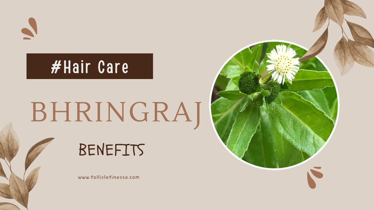 benefits of Bhringraj for hair