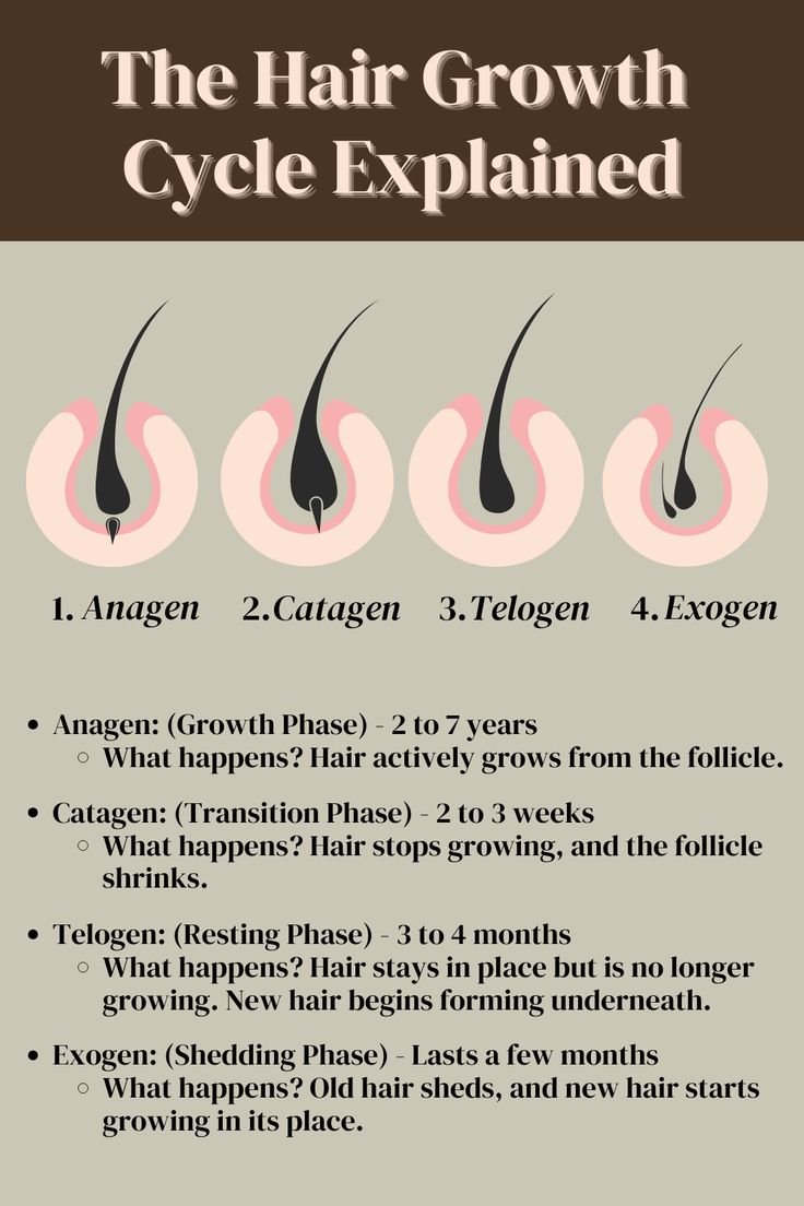 hair loss, hair loss treatment, hair growth cycle, hair loss medication, which vitamin deficiency causes hair loss, hair loss treatment, reason of hair fall in female, hair loss causes, hair loss in women, how to stop hair fall immediately, which hormone causes hair loss in females, What are the main causes of hair loss?, Can hair thinning be reversed?, How to stop worrying about hair?, How can I recover my hair loss?, How can I stop losing my hair?, Is balding at 25 normal?, How do I thicken my hair?, Can oiling reverse hair thinning?, Can thin hair become full again?, Is overthinking hair loss?, How do I stop unwanted hair?, How to regrow frontal hairline?, Can onion juice regrow hair?, Is lost hair permanently lost?, Which oil is best for hair fall?, What are the top 5 reasons for hair loss?, What is the big 3 of hair loss?, Which deficiency causes hair fall?, Which oil is best for hair fall?,